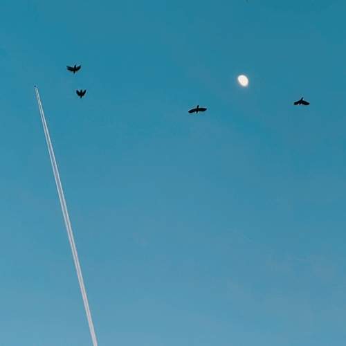 Photo #12282186