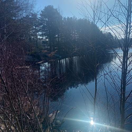 Photo #12282337