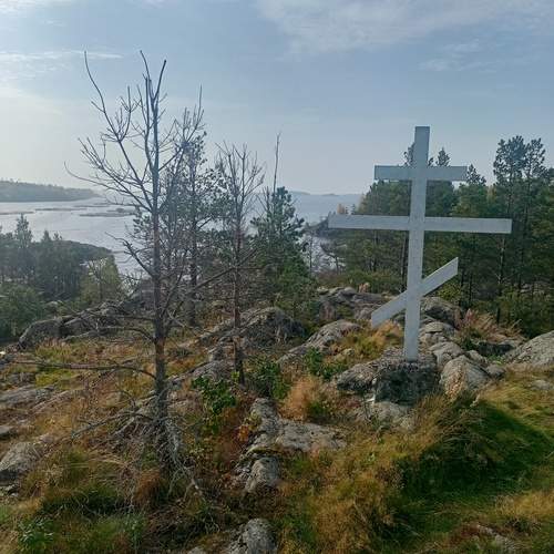 Photo #12282338