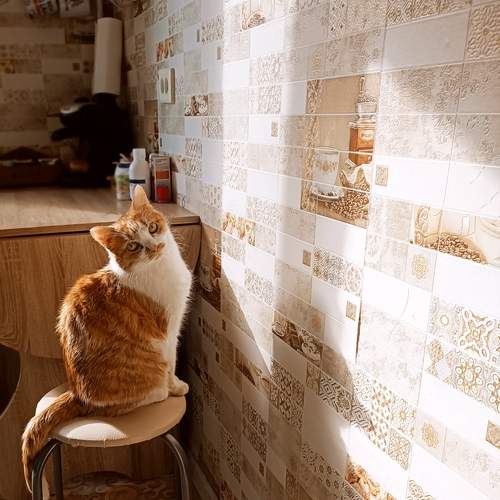Photo #12282717