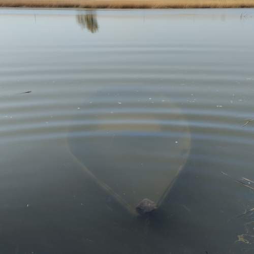 Photo #12282853