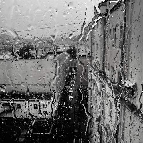Photo #12283909