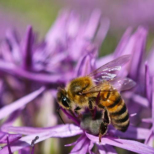 Photo #12283990