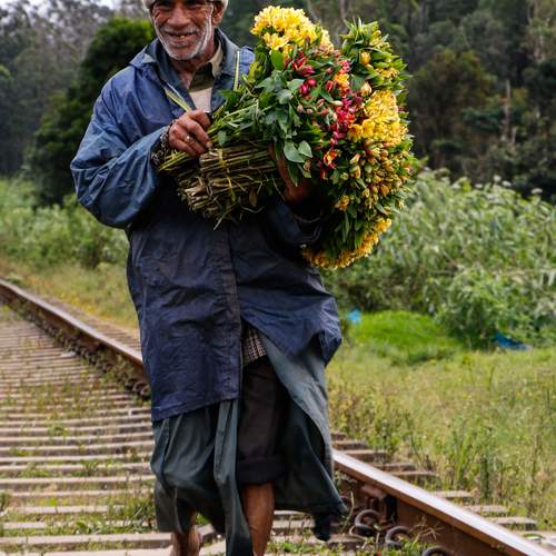Photo #12284024