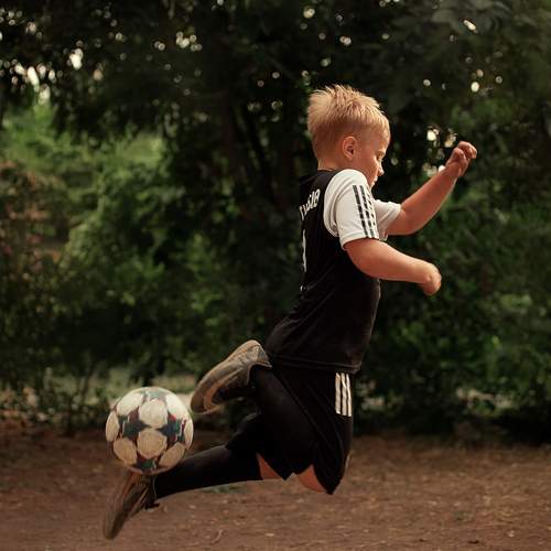 Photo #12284111
