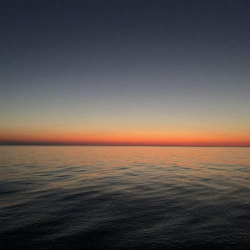 Photo #12284138
