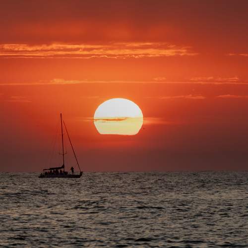 Photo #12284140