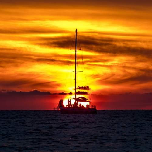 Photo #12284170