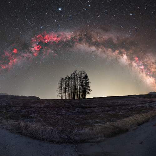 Фотография #12284199