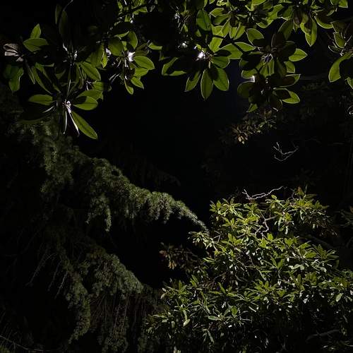 Photo #12284326