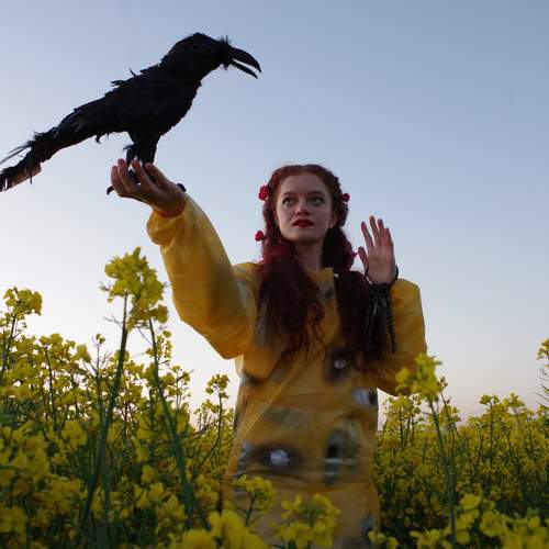 Photo #12284456