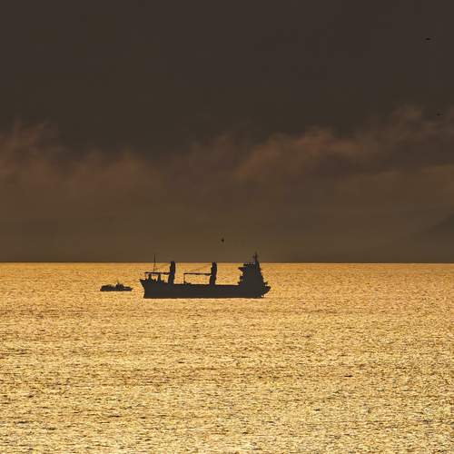 Photo #12284623