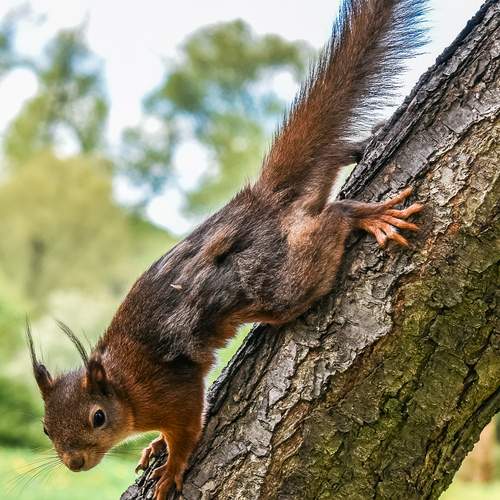 Photo #12285782