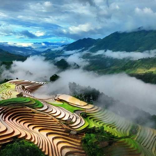 MU CANG CHAI IN THE CLOUDS