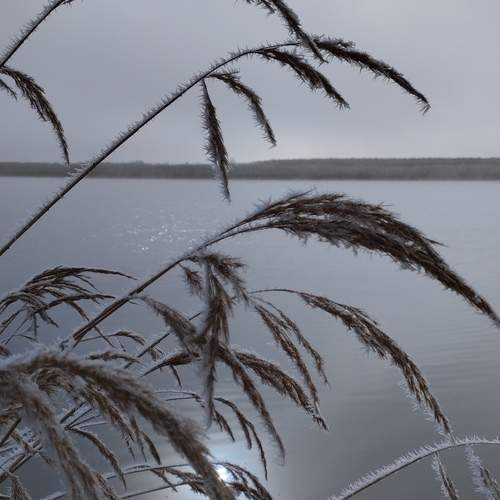 Photo #12287179