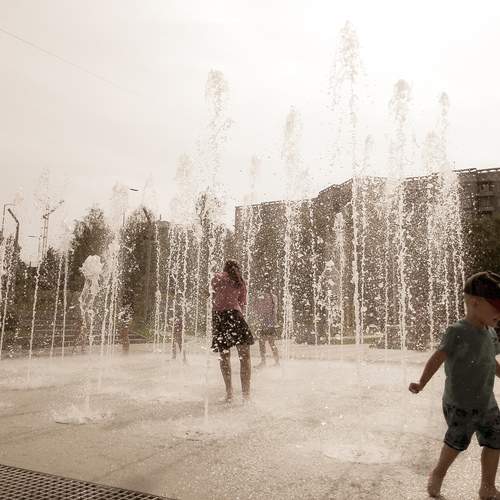 Photo #12287213