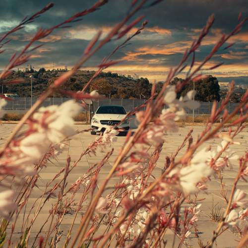 Photo #12287316
