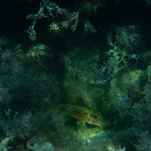 Photo #12287524