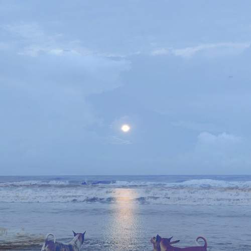 Photo #12287583