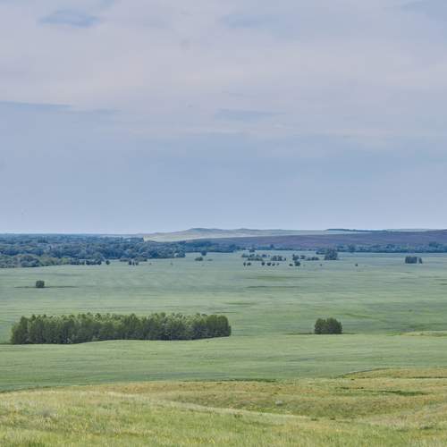 Photo #12287629