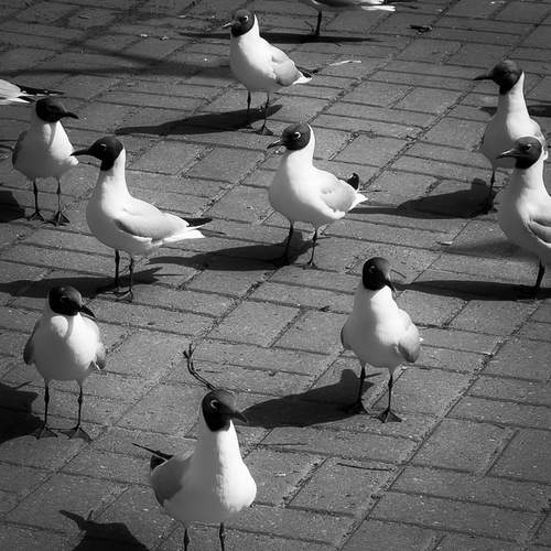 Фотография #12287780