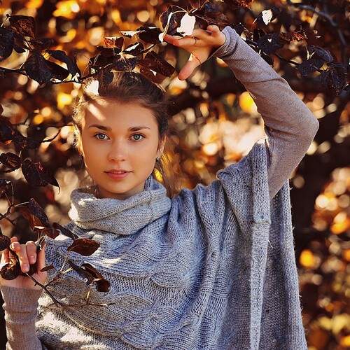 Photo #12288989