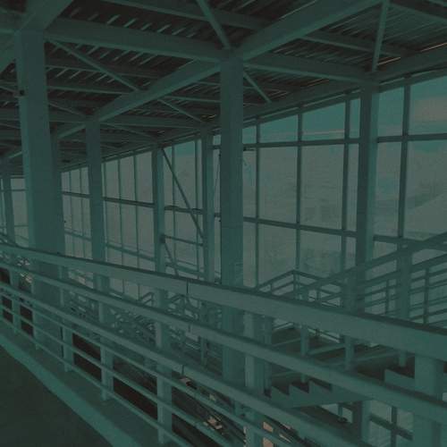 Photo #12289077