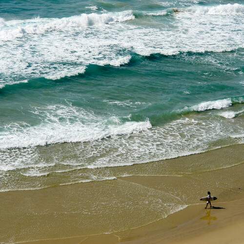 Photo #12289293