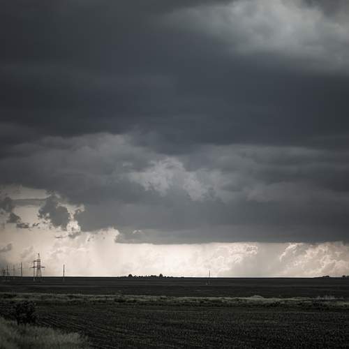 Photo #12289316