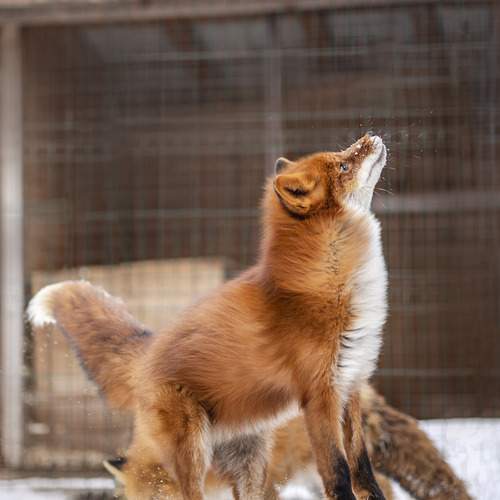 Photo #12289683