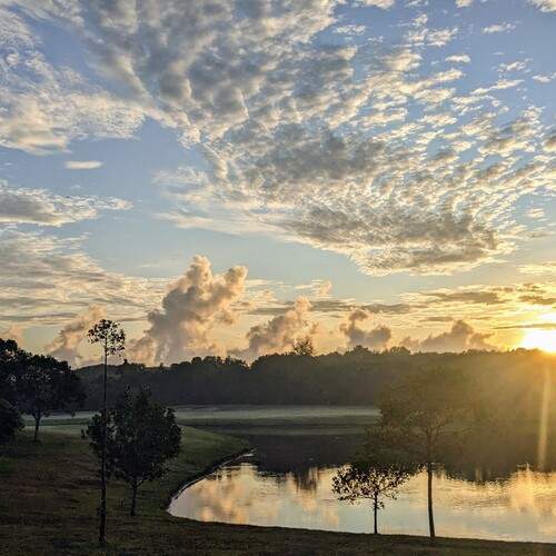 Photo #12289959