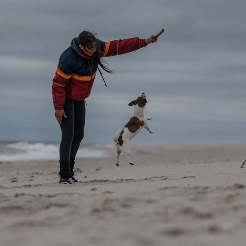 Photo #12290334