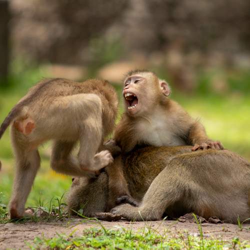 Photo #12290637