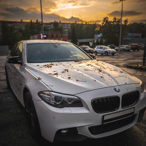 Photo #12290683