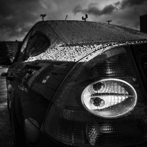 Photo #12290694