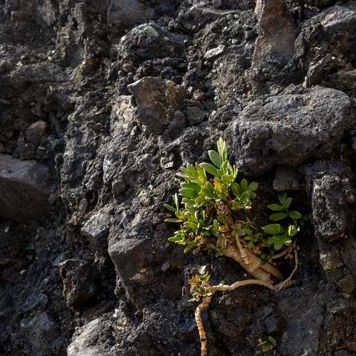 Photo #12290844