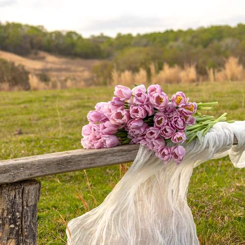Photo #12290846