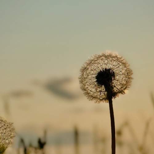 Photo #12291185