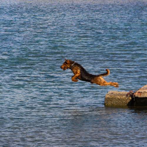 Photo #12291306