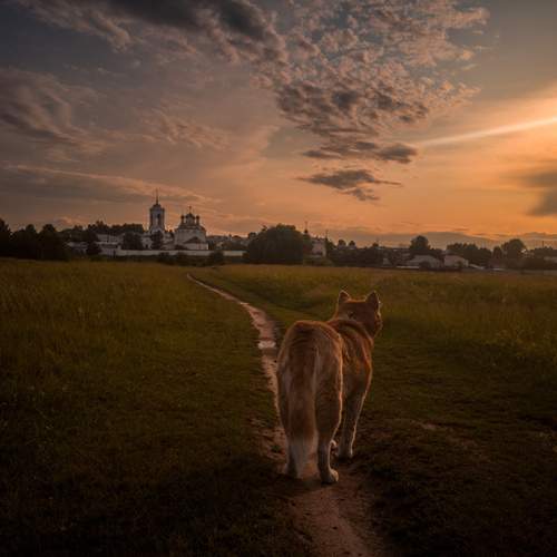 Photo #12291509