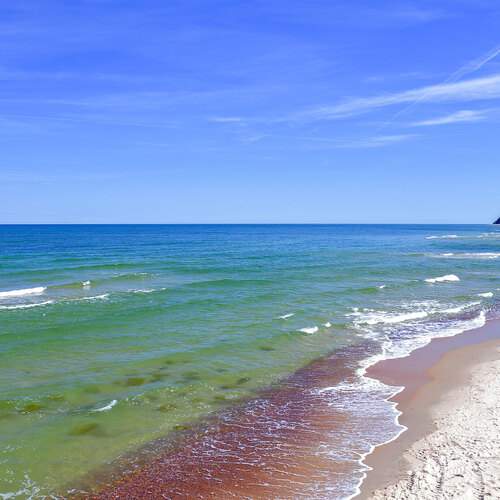 Photo #12291526