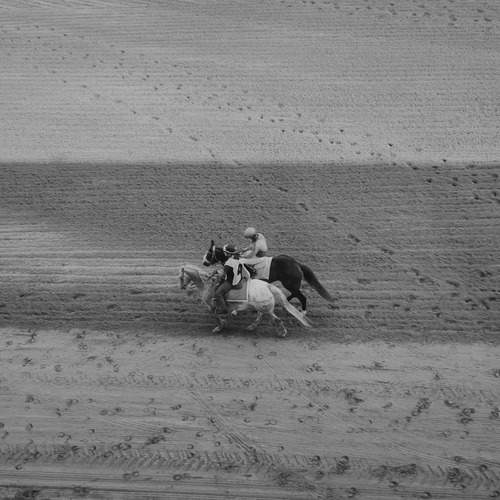 Photo #12291734