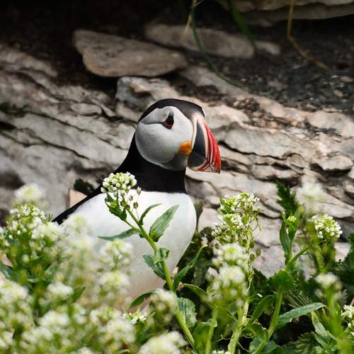Photo #12292086