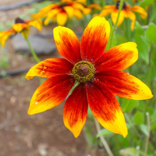 Photo #12292202