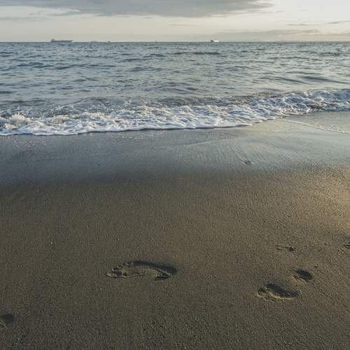 Photo #12292235