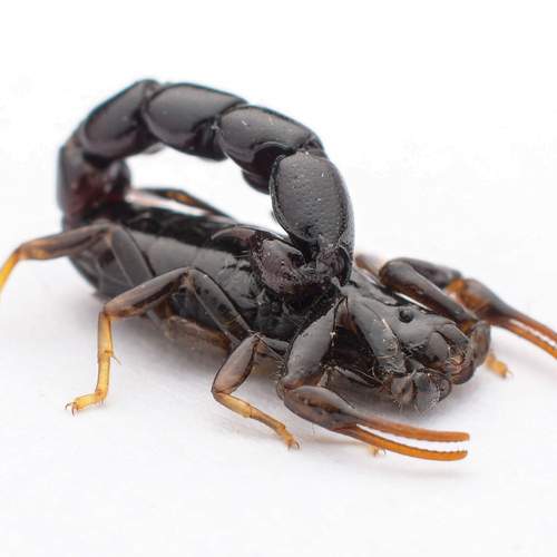Photo #12292347
