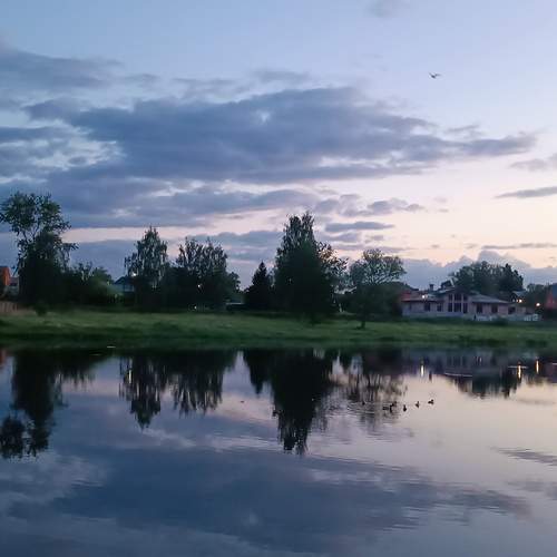 Photo #12292475