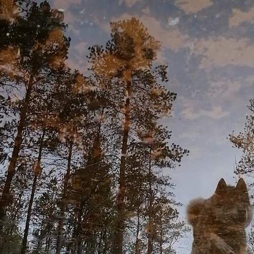 Photo #12292487