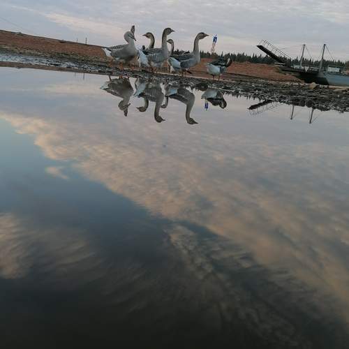 Photo #12292499