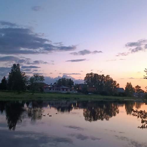Photo #12292508
